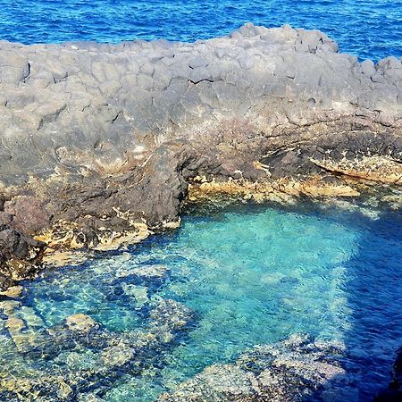 Finca Los Loros Icod De Los Vinos By Hrtenerife Net سانتا كروز دي تينيريف المظهر الخارجي الصورة