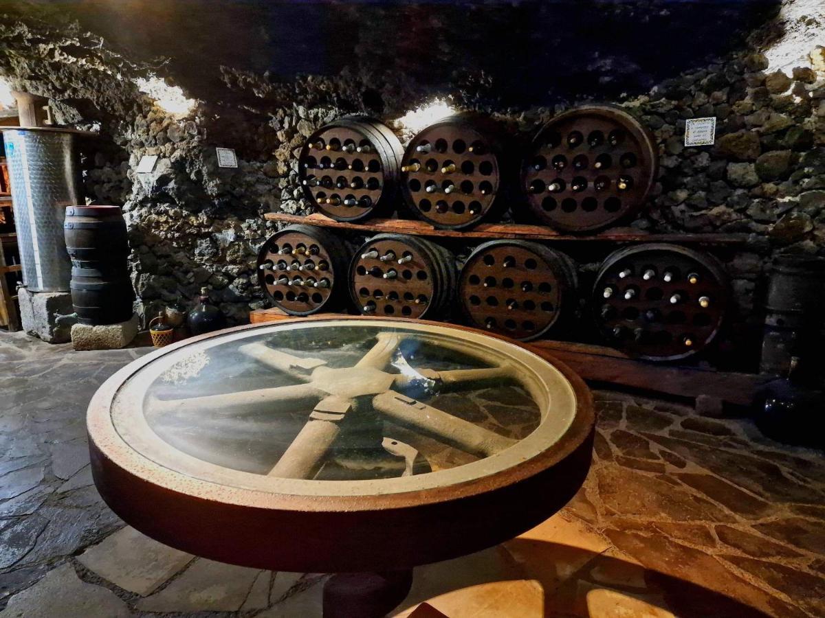 Finca Los Loros Icod De Los Vinos By Hrtenerife Net سانتا كروز دي تينيريف المظهر الخارجي الصورة