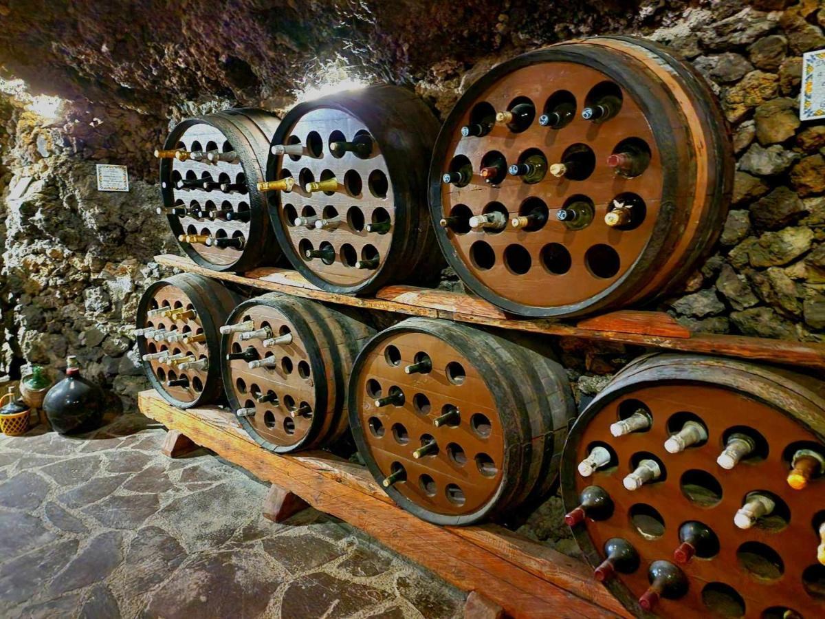 Finca Los Loros Icod De Los Vinos By Hrtenerife Net سانتا كروز دي تينيريف المظهر الخارجي الصورة